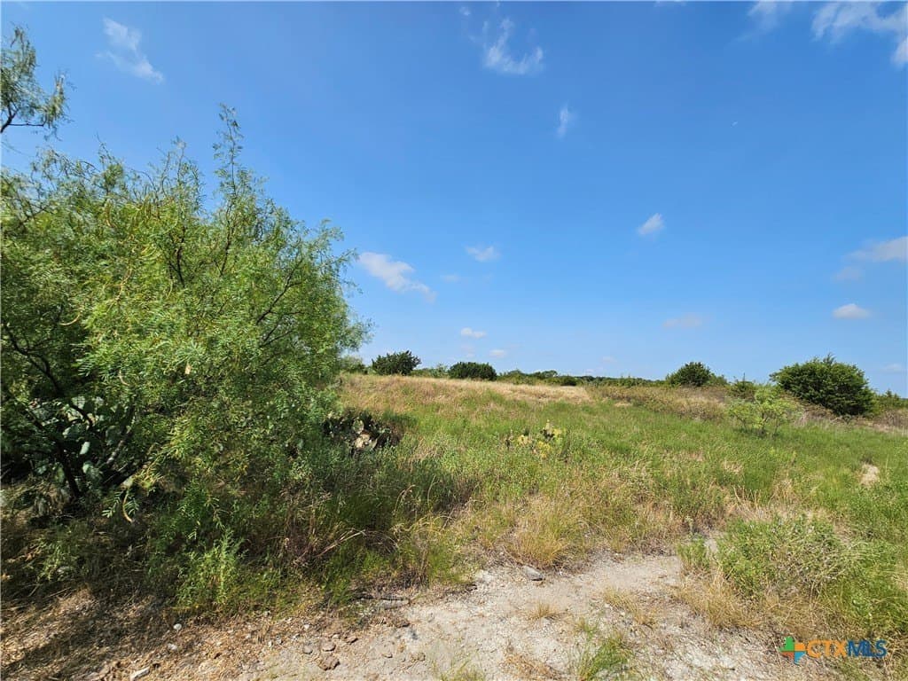 5.31 acres in Burnet County - photo 9