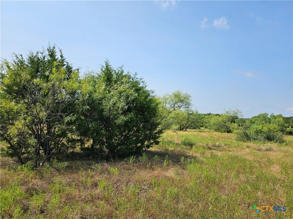 5.31 acres in Burnet County - photo 11