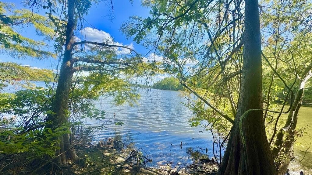 20.4 acres in Texas County - photo 2