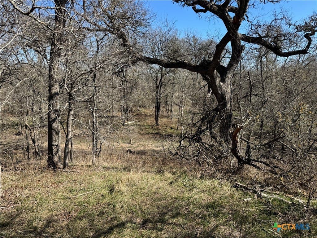 5.1 acres in Milam County - photo 17