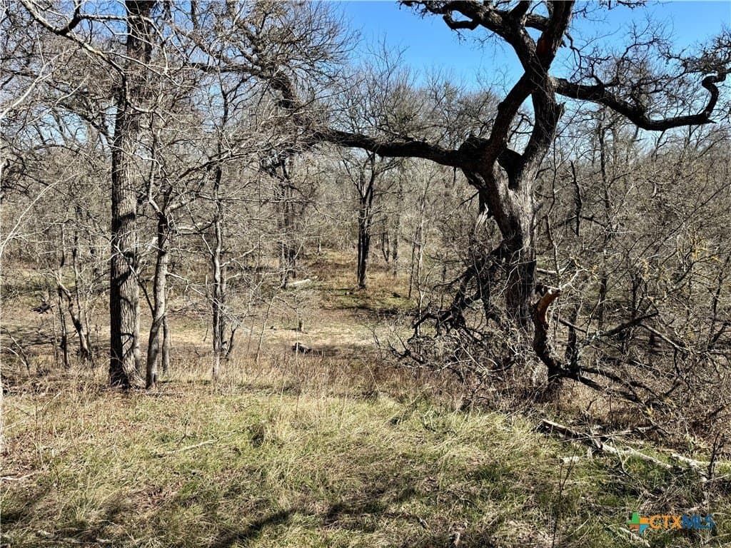 5.1 acres in Milam County - photo 15
