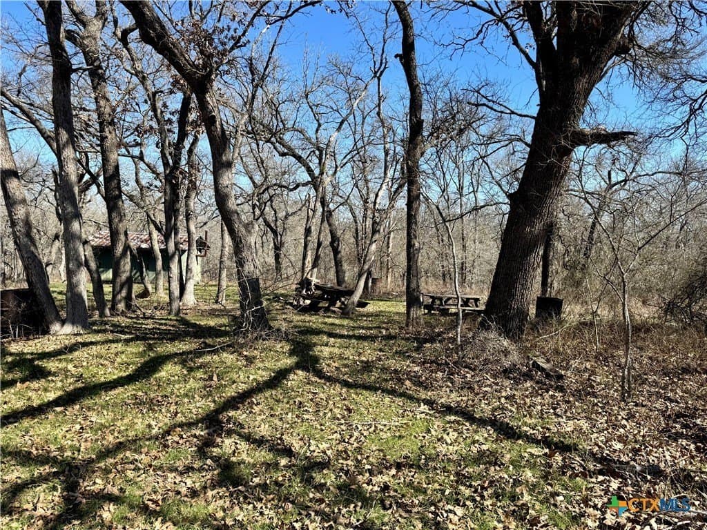 5.1 acres in Milam County - photo 11