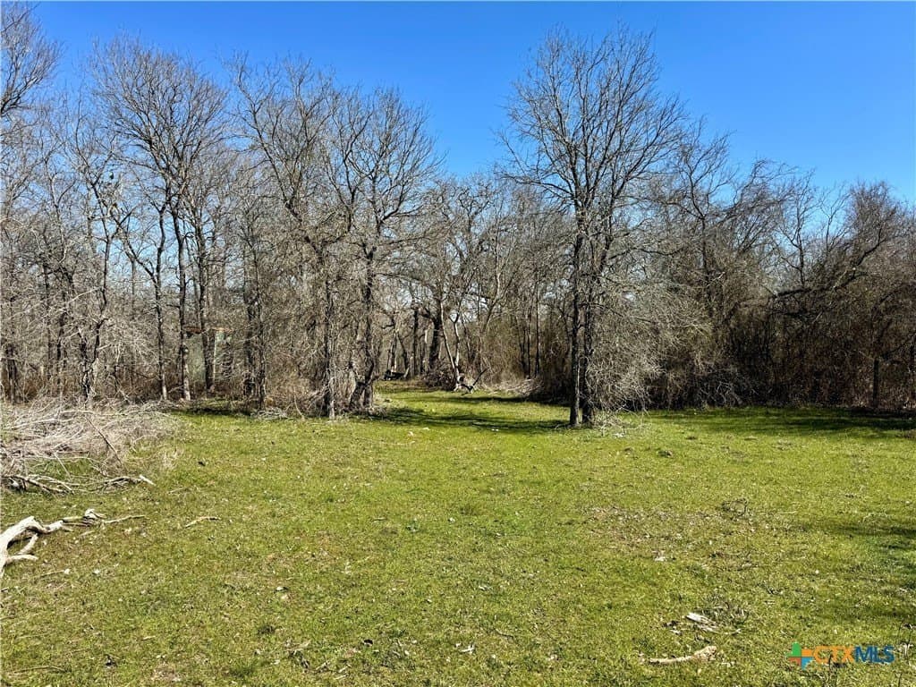 5.1 acres in Milam County - photo 4