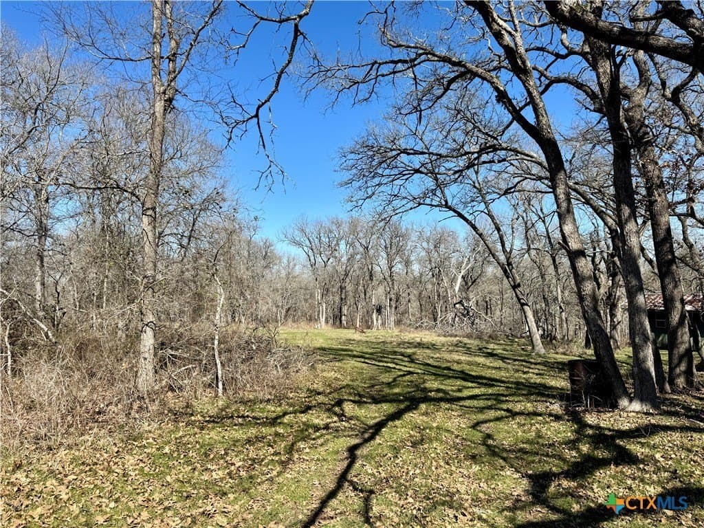 5.1 acres in Milam County - photo 10