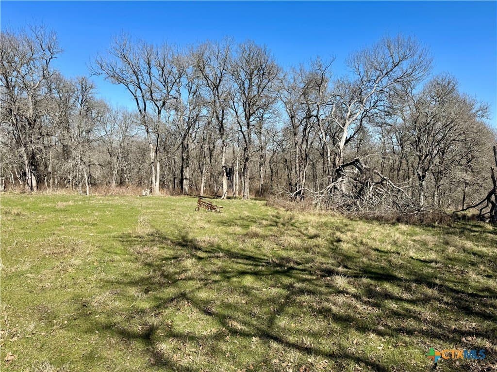 5.1 acres in Milam County - photo 9