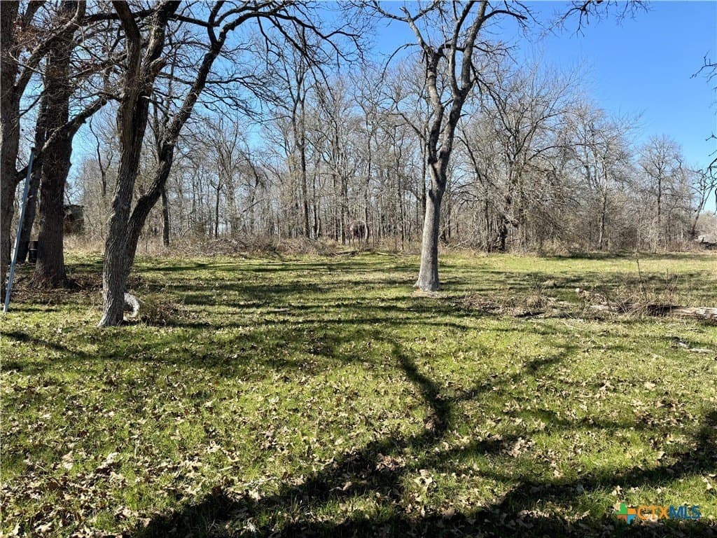 5.1 acres in Milam County - photo 7