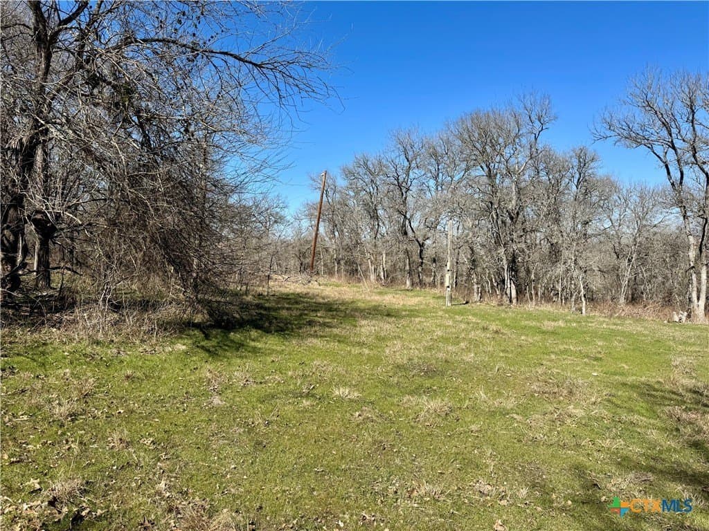 5.1 acres in Milam County - photo 8