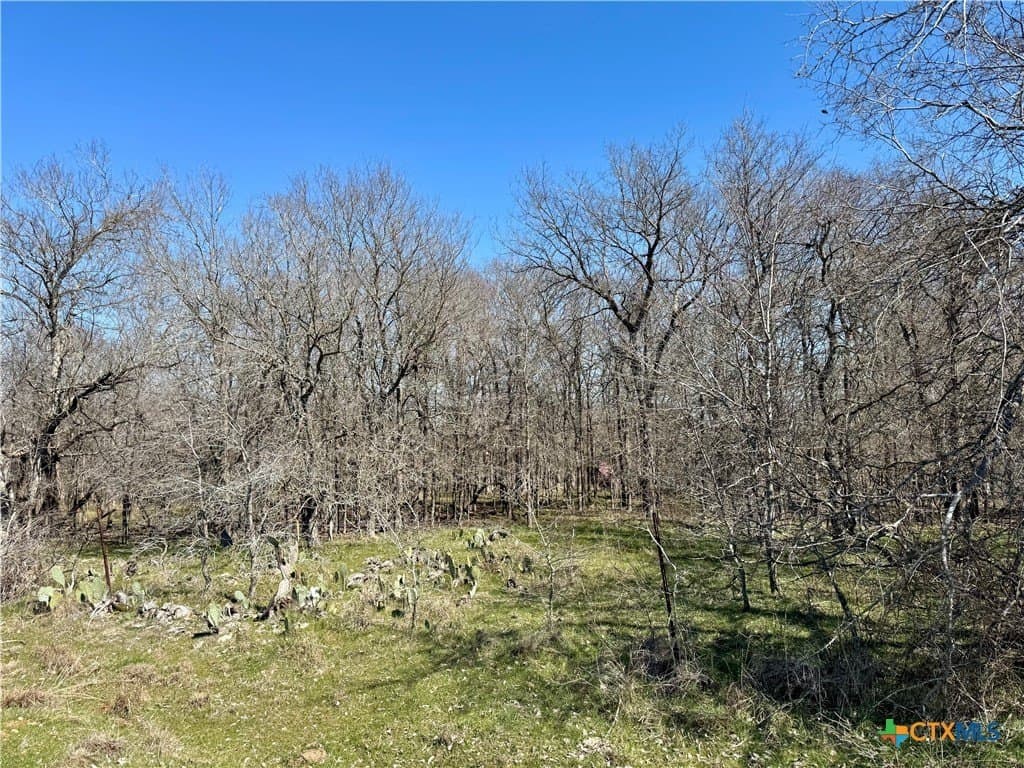 5.1 acres in Milam County - photo 3