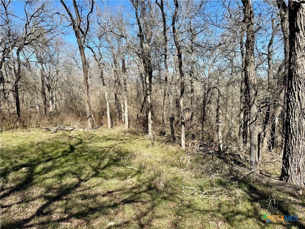 5.1 acres in Milam County - photo 6