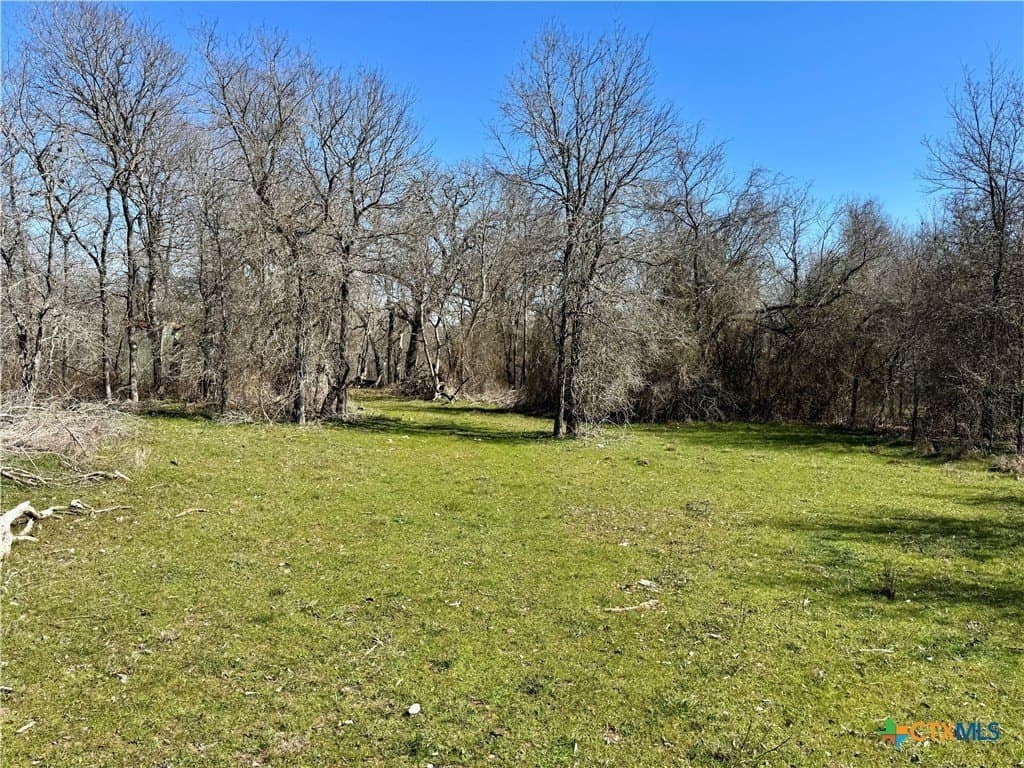 5.1 acres in Milam County - photo 5