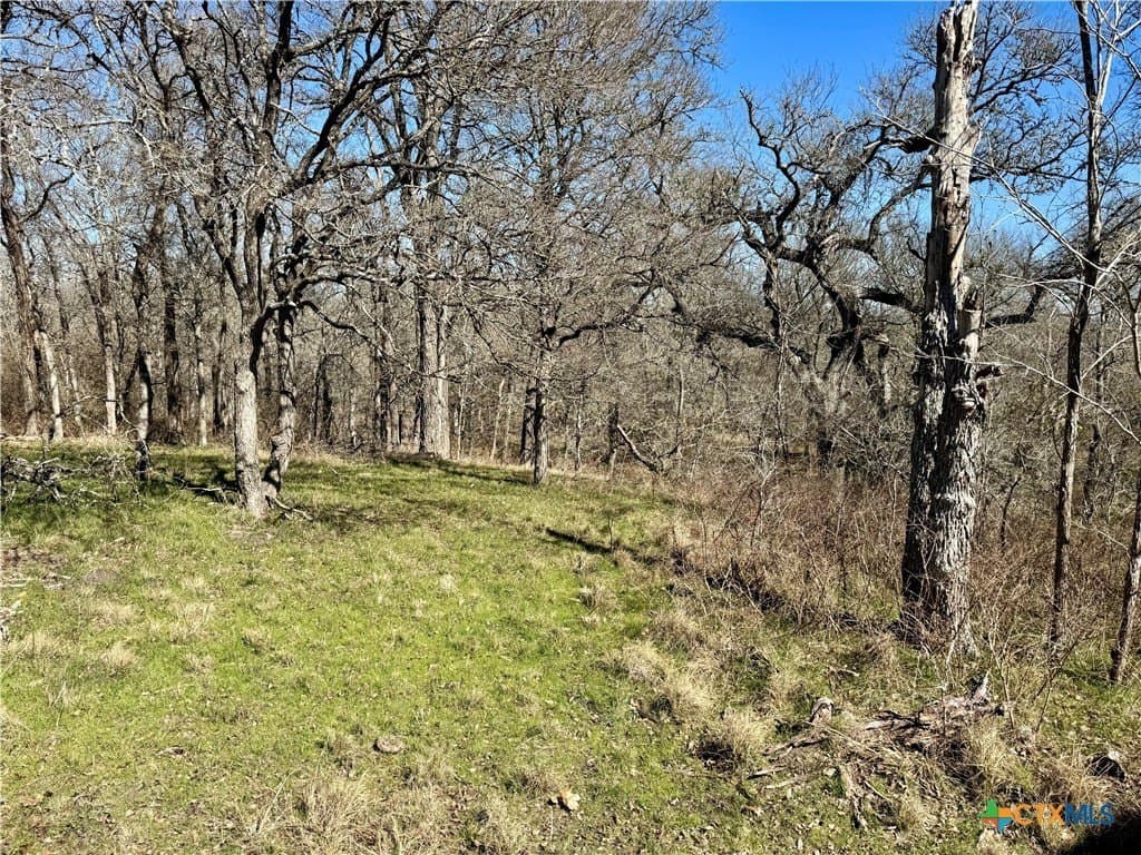 5.1 acres in Milam County - photo 12