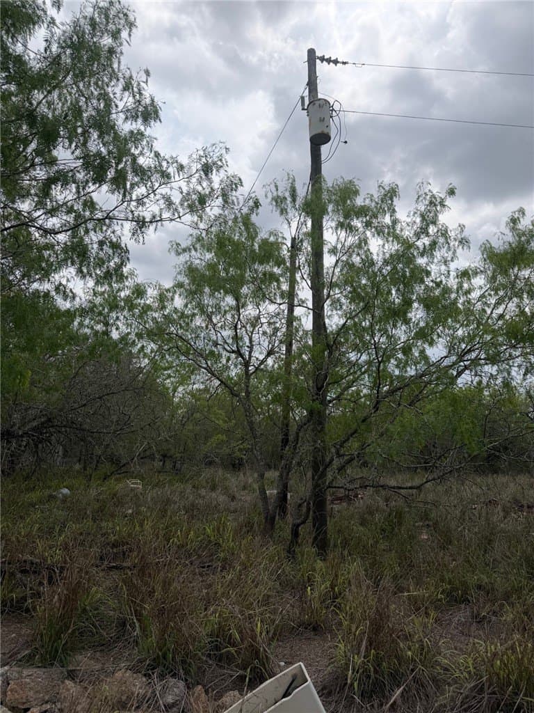 8.96 acres in Jim Wells County featured view