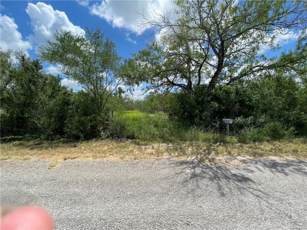 8.96 acres in Jim Wells County gallery image 4