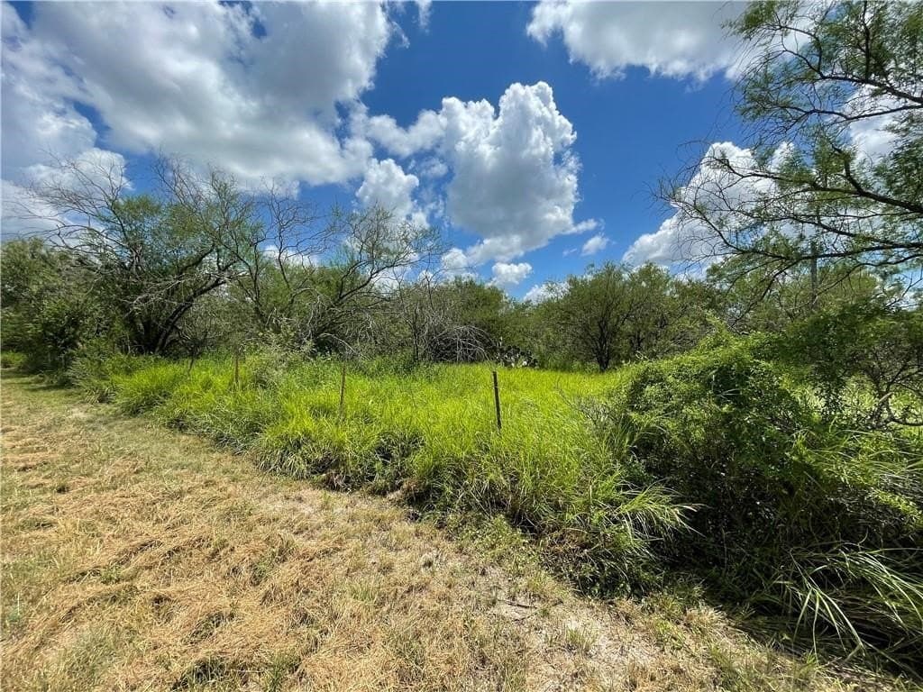 8.96 acres in Jim Wells County gallery image 2