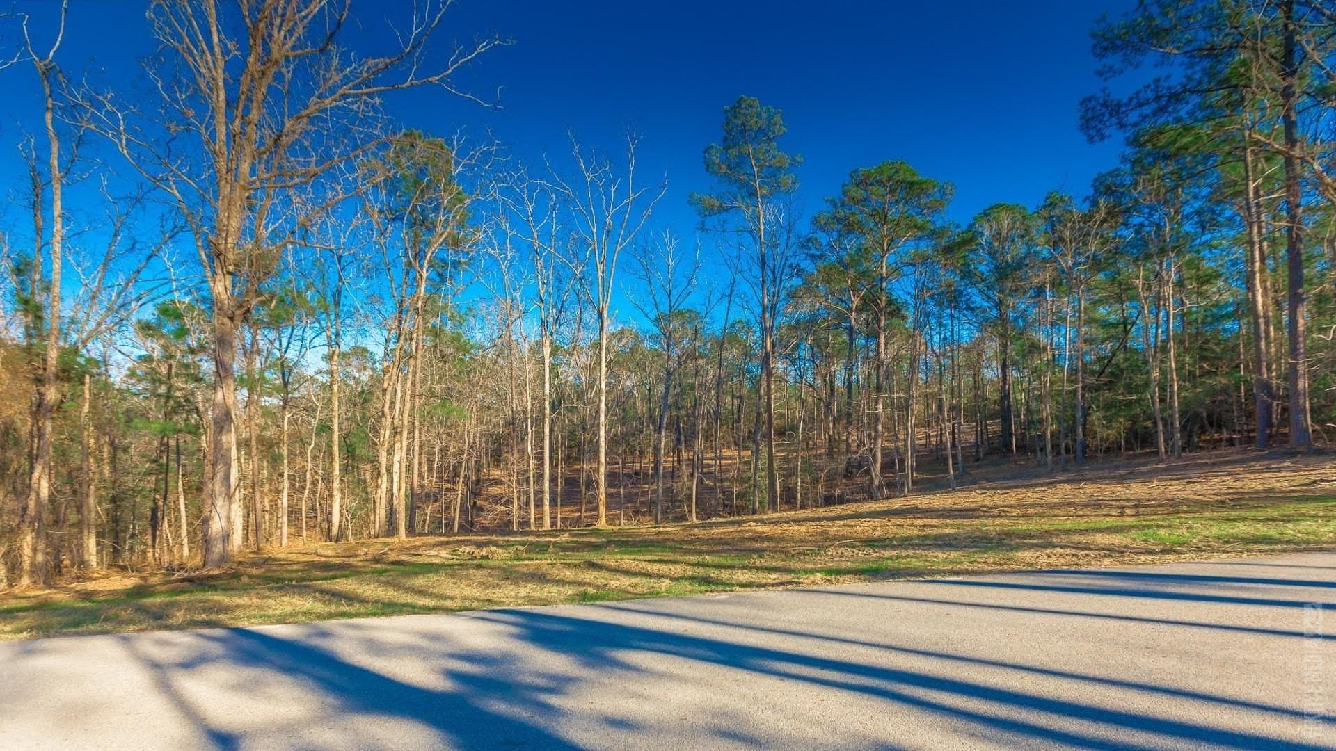 0.5 acres in Texas County featured view