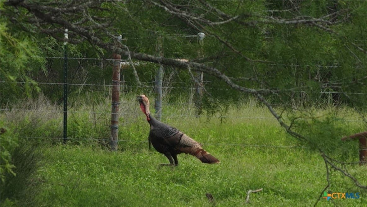 83 acres in Frio County - photo 41