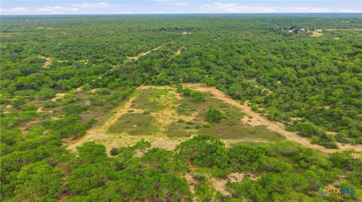 83 acres in Frio County - photo 46