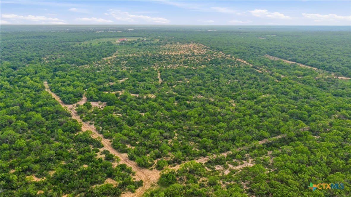 83 acres in Frio County - photo 45
