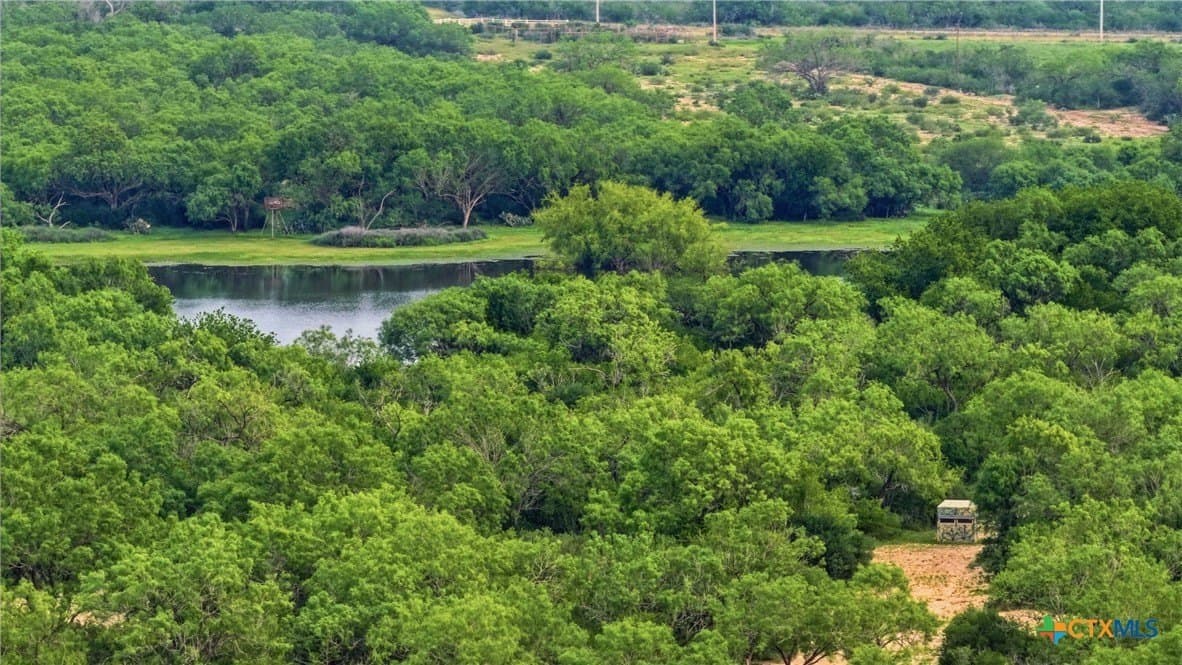 83 acres in Frio County - photo 44