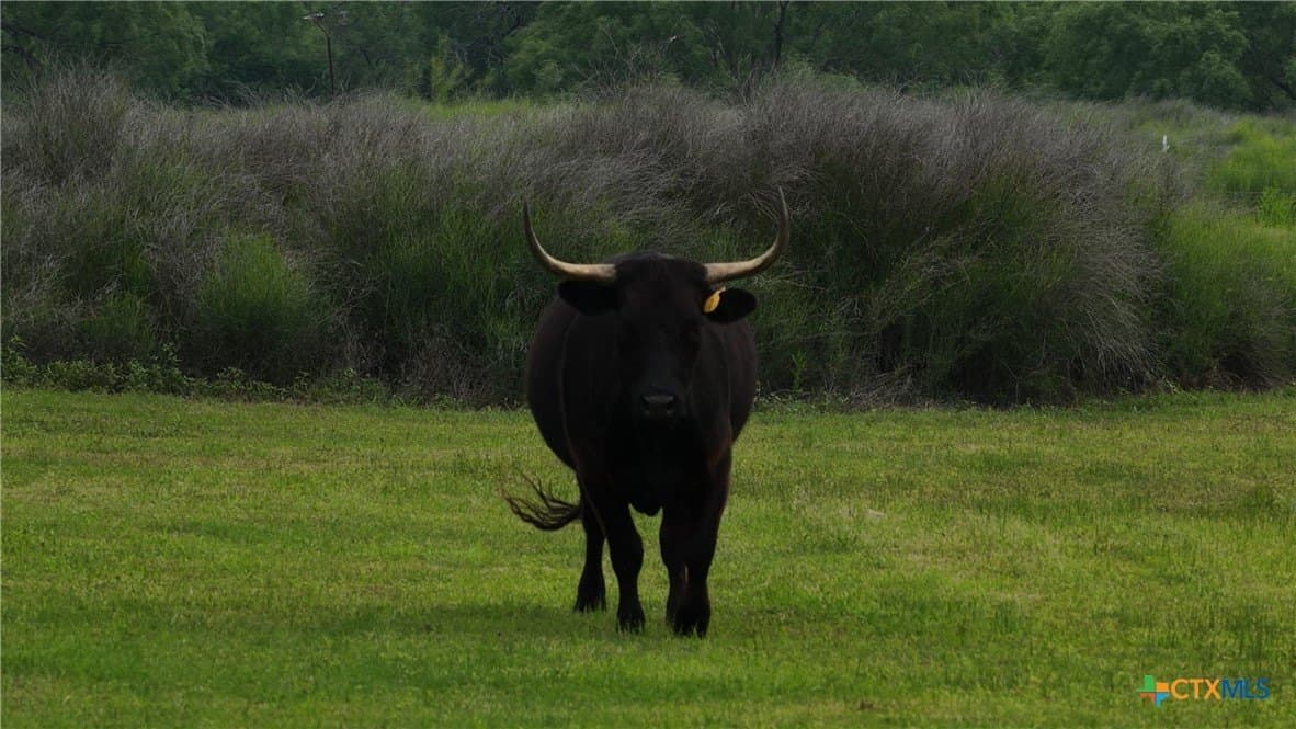 83 acres in Frio County - photo 42