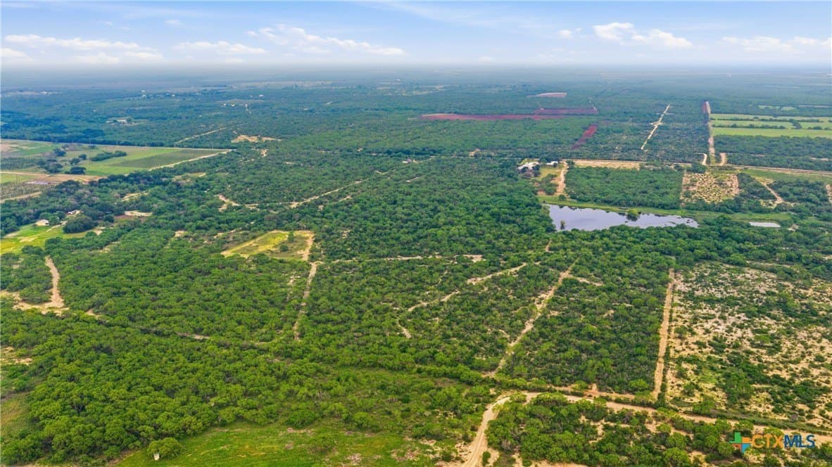83 acres in Frio County - photo 43