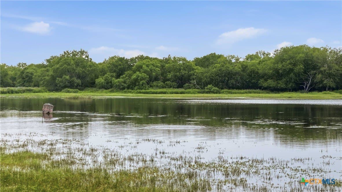 83 acres in Frio County - photo 39