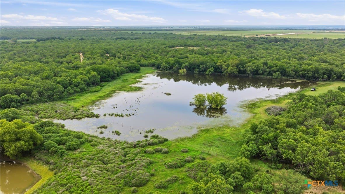 83 acres in Frio County gallery image 3