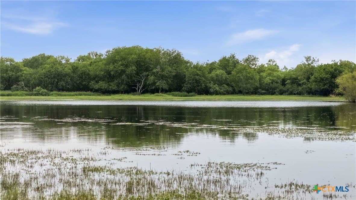 83 acres in Frio County - photo 37