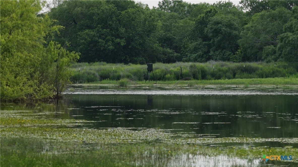83 acres in Frio County - photo 38