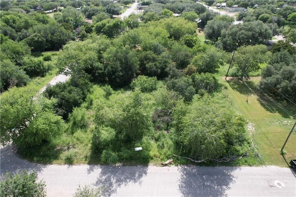 0.16 acres in Jim Wells County gallery image 2
