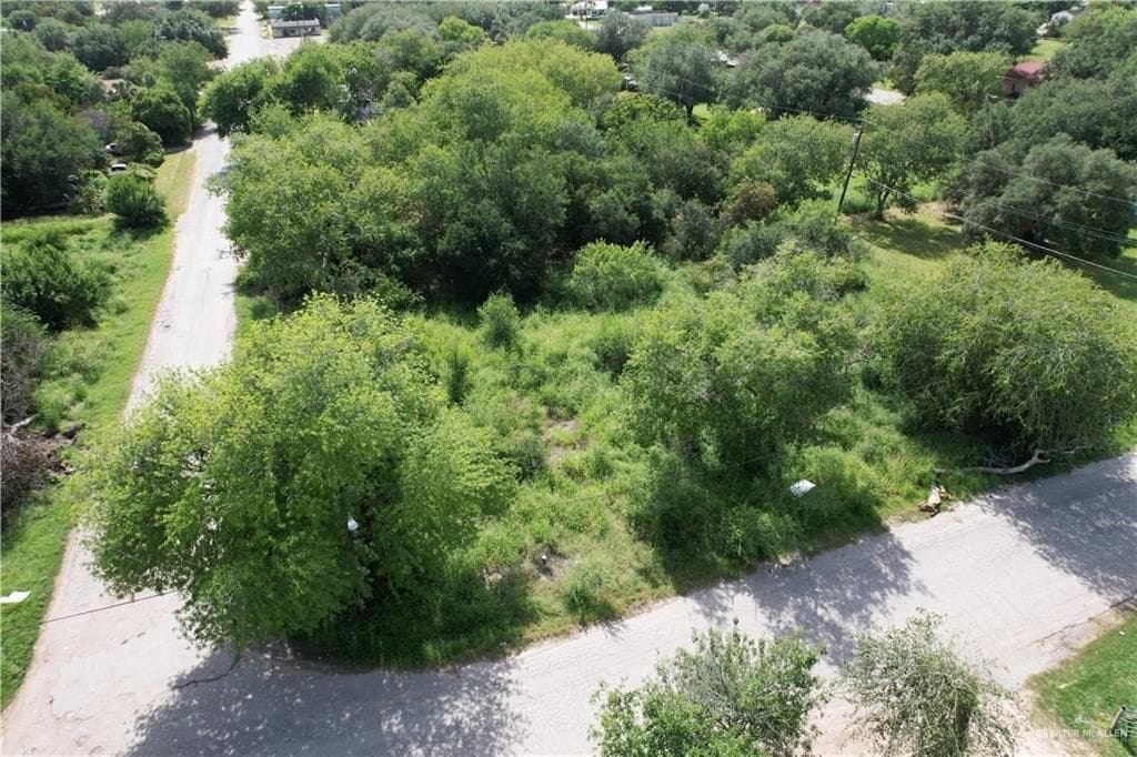 0.16 acres in Jim Wells County gallery image 3