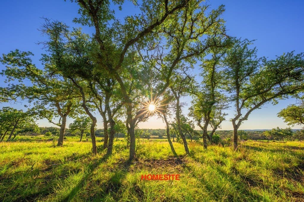 22.35 acres in Kerr County - photo 10