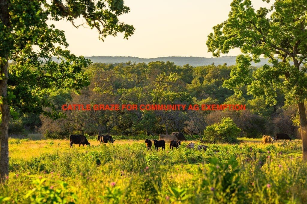 22.35 acres in Kerr County - photo 7