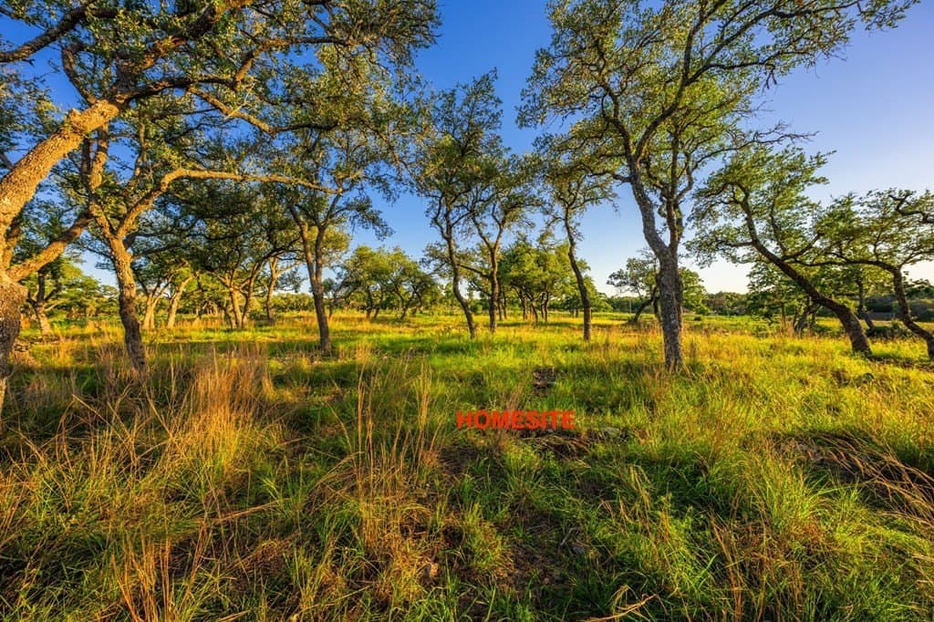 22.35 acres in Kerr County - photo 11