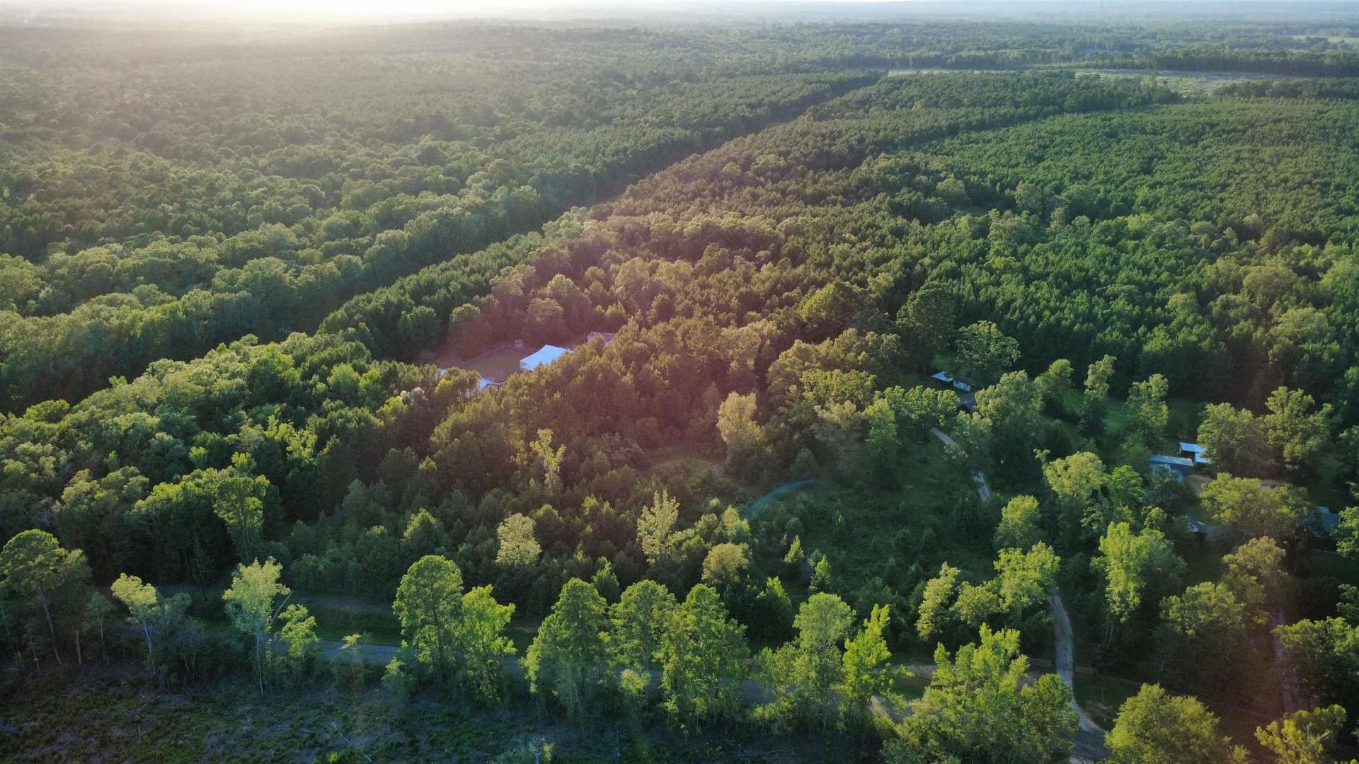 14.5 acres in Harrison County gallery image 3