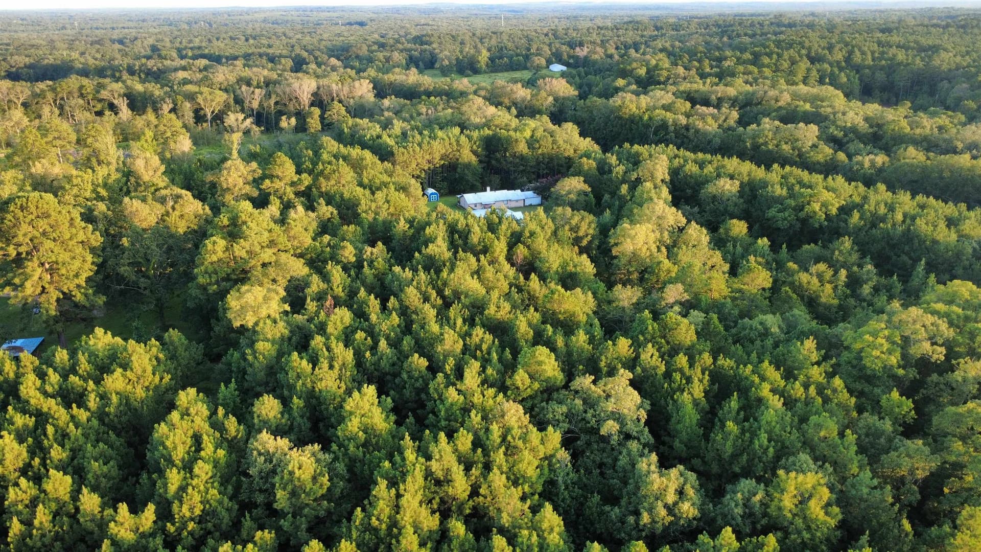 14.5 acres in Harrison County - photo 10