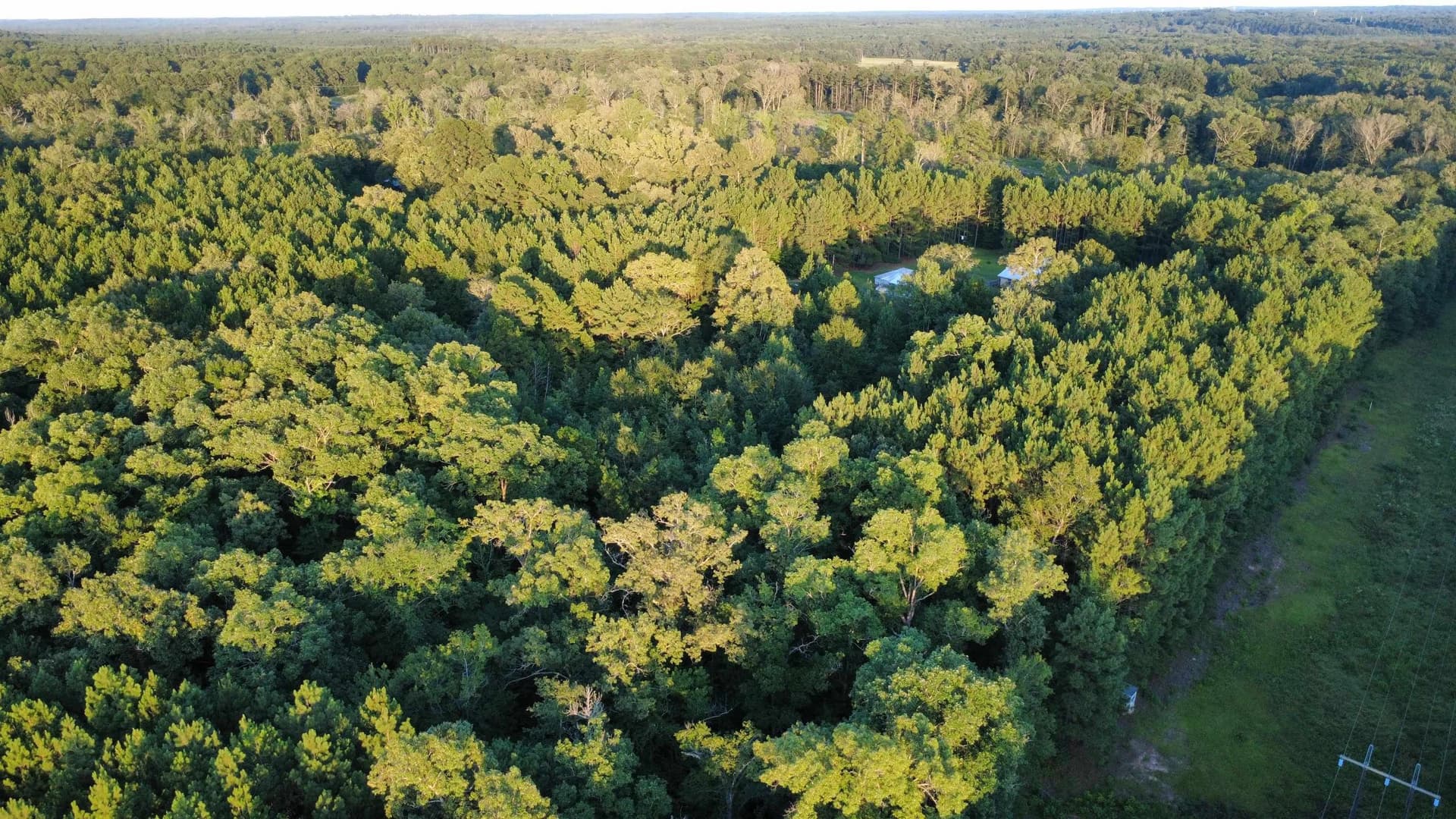 14.5 acres in Harrison County - photo 11