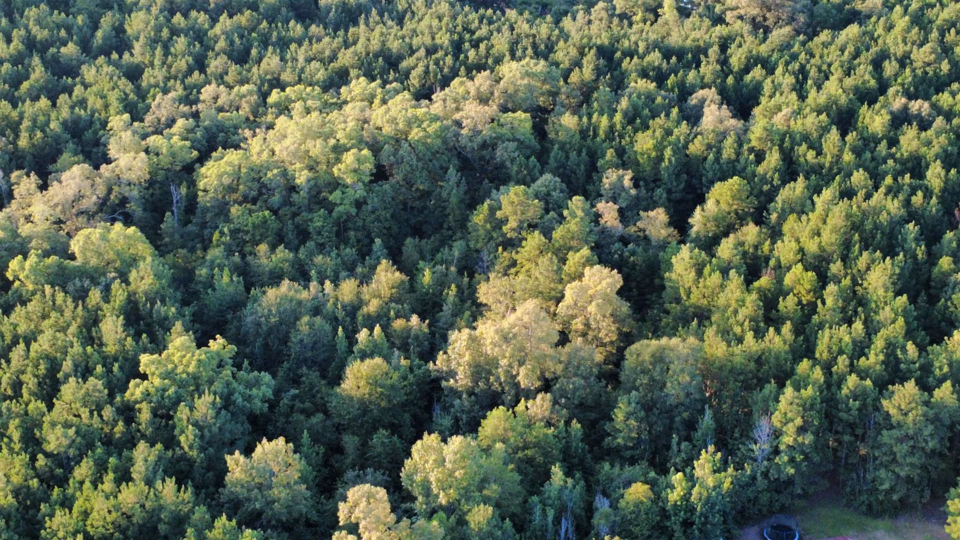 14.5 acres in Harrison County - photo 8