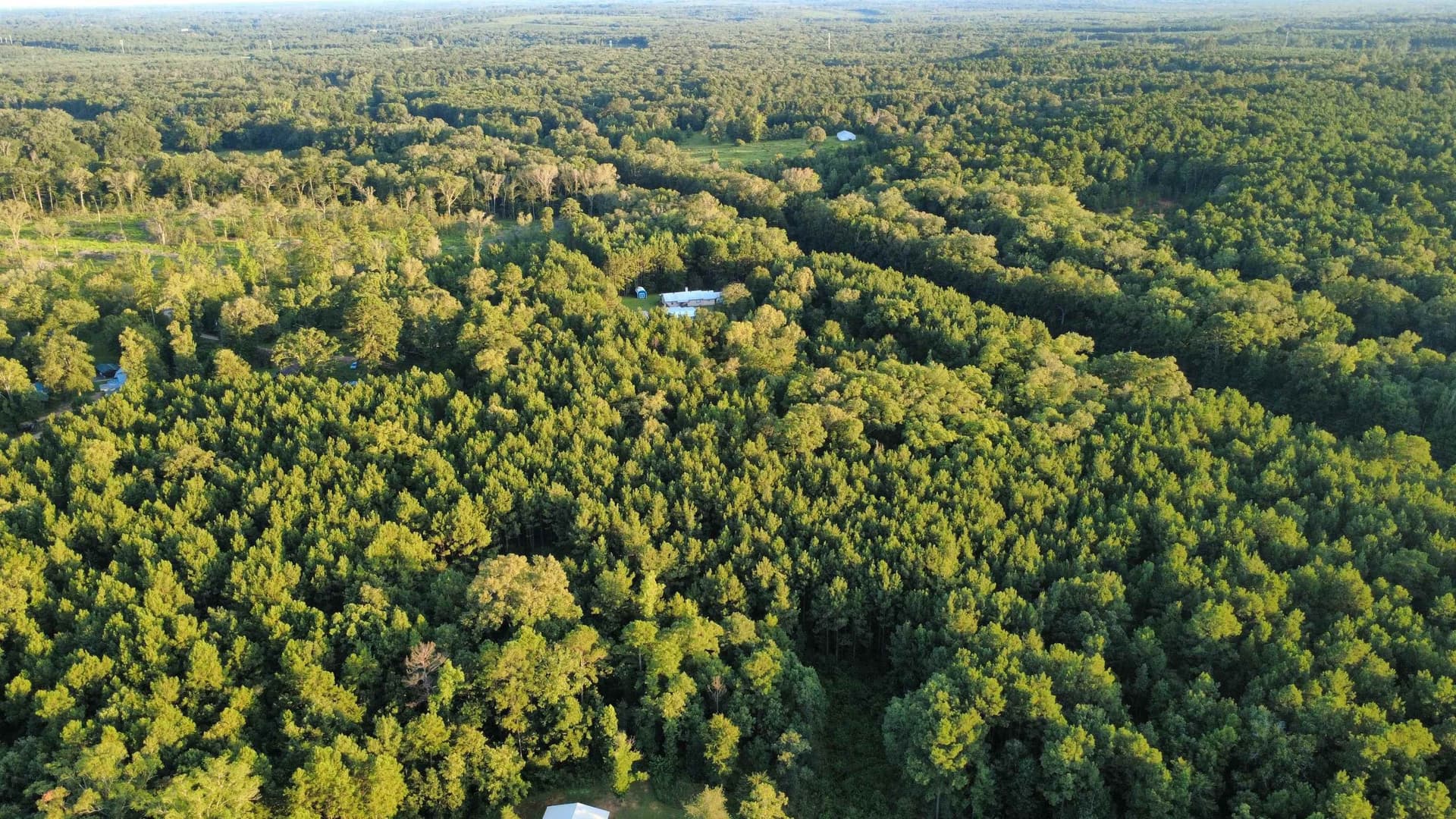14.5 acres in Harrison County featured view