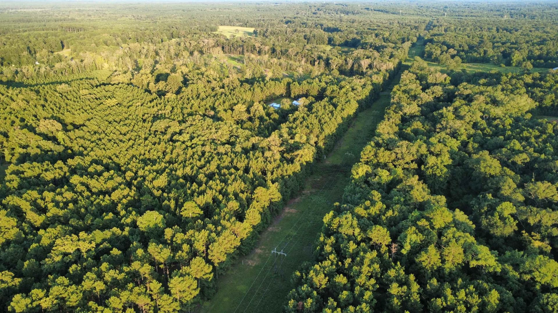 14.5 acres in Harrison County - photo 6
