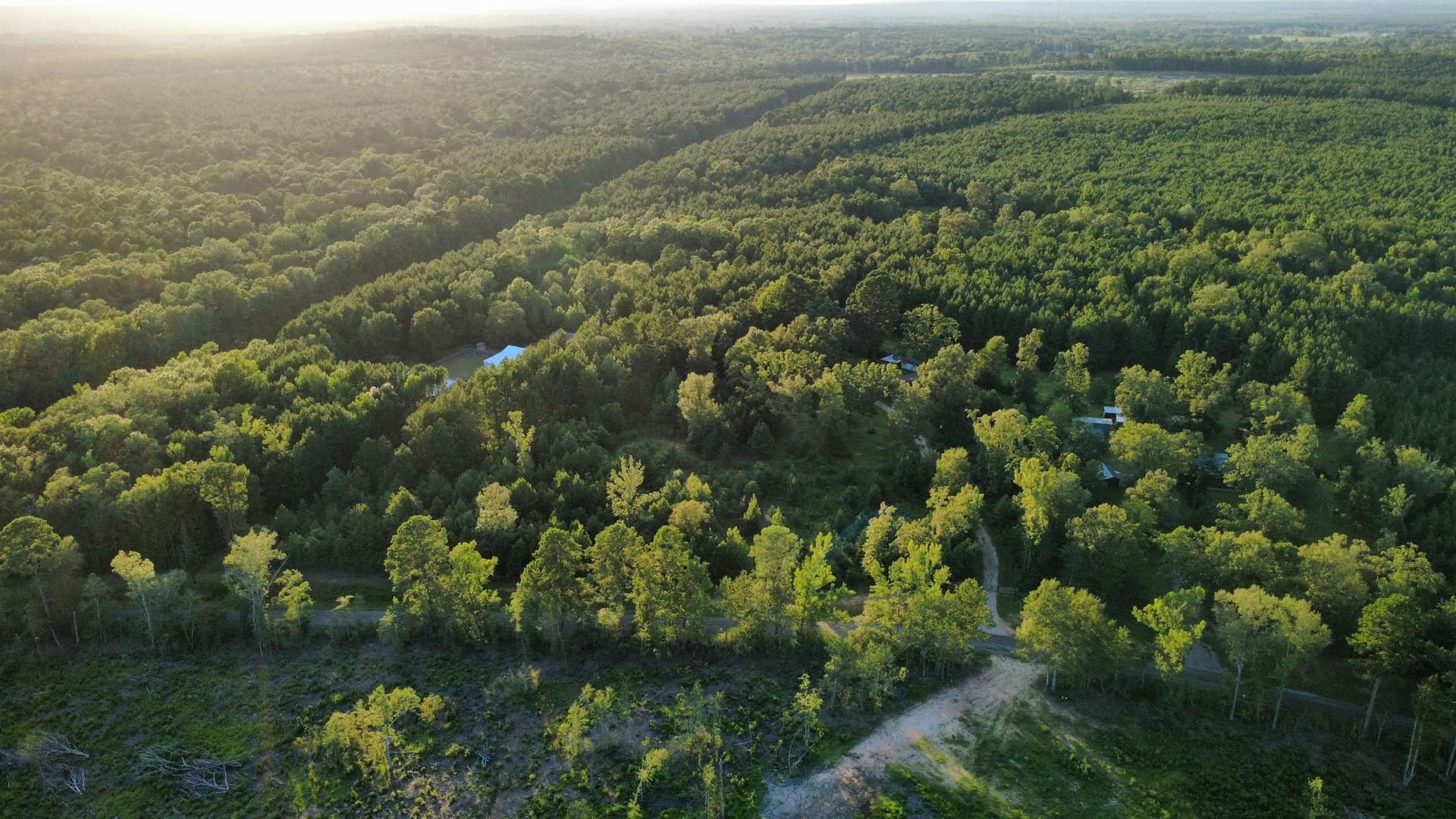 14.5 acres in Harrison County gallery image 4