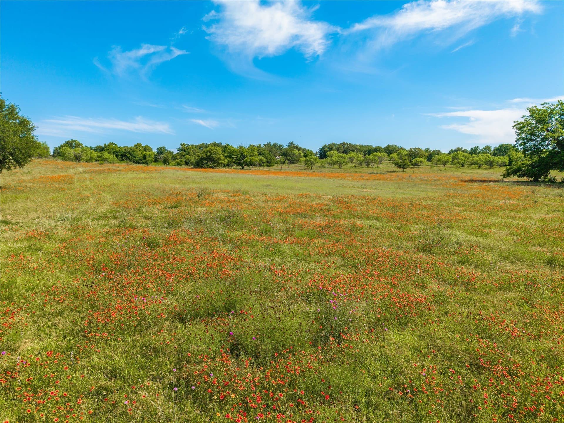 92.2 acres in Comanche County - photo 6