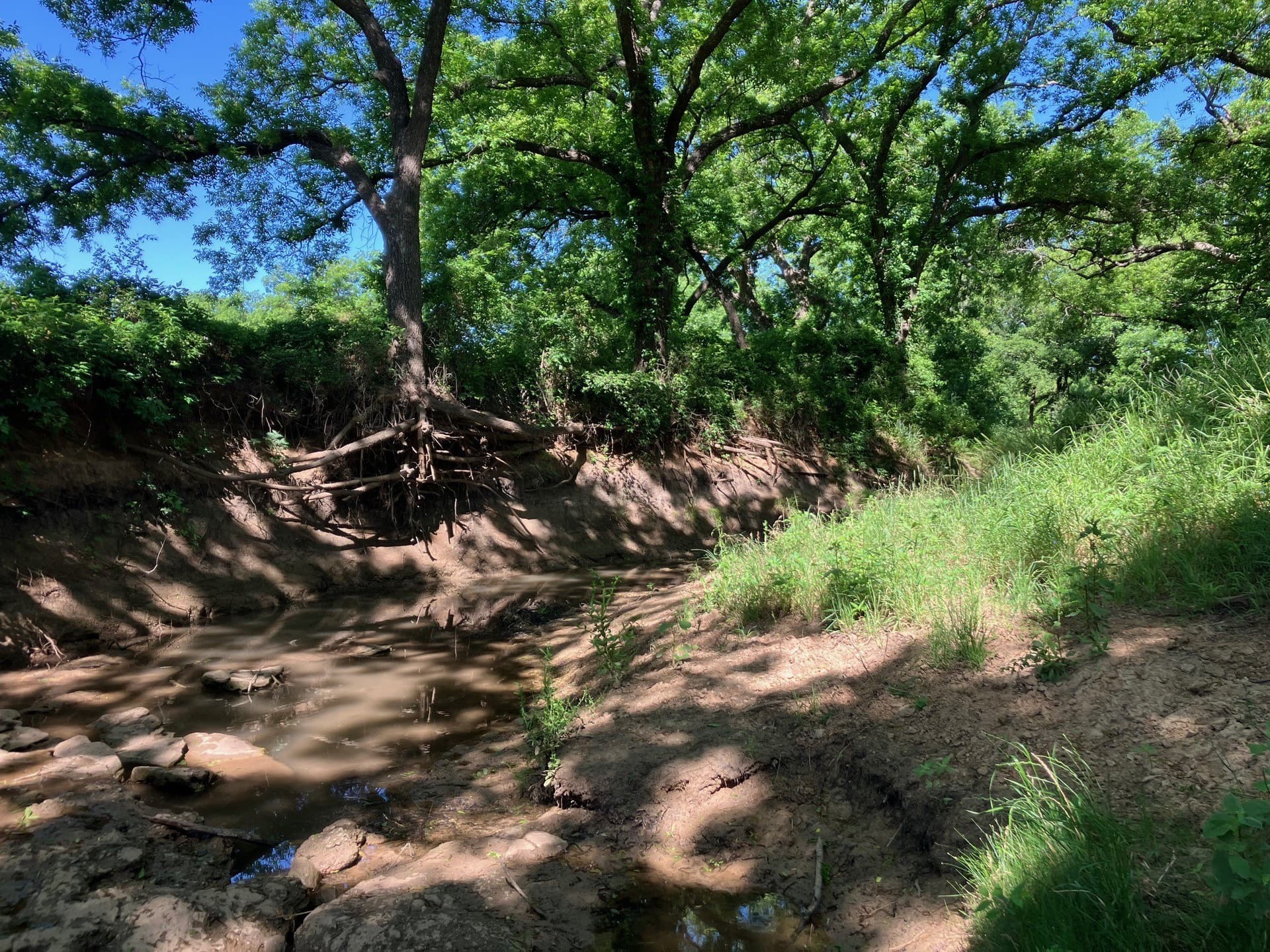 92.2 acres in Comanche County - photo 29