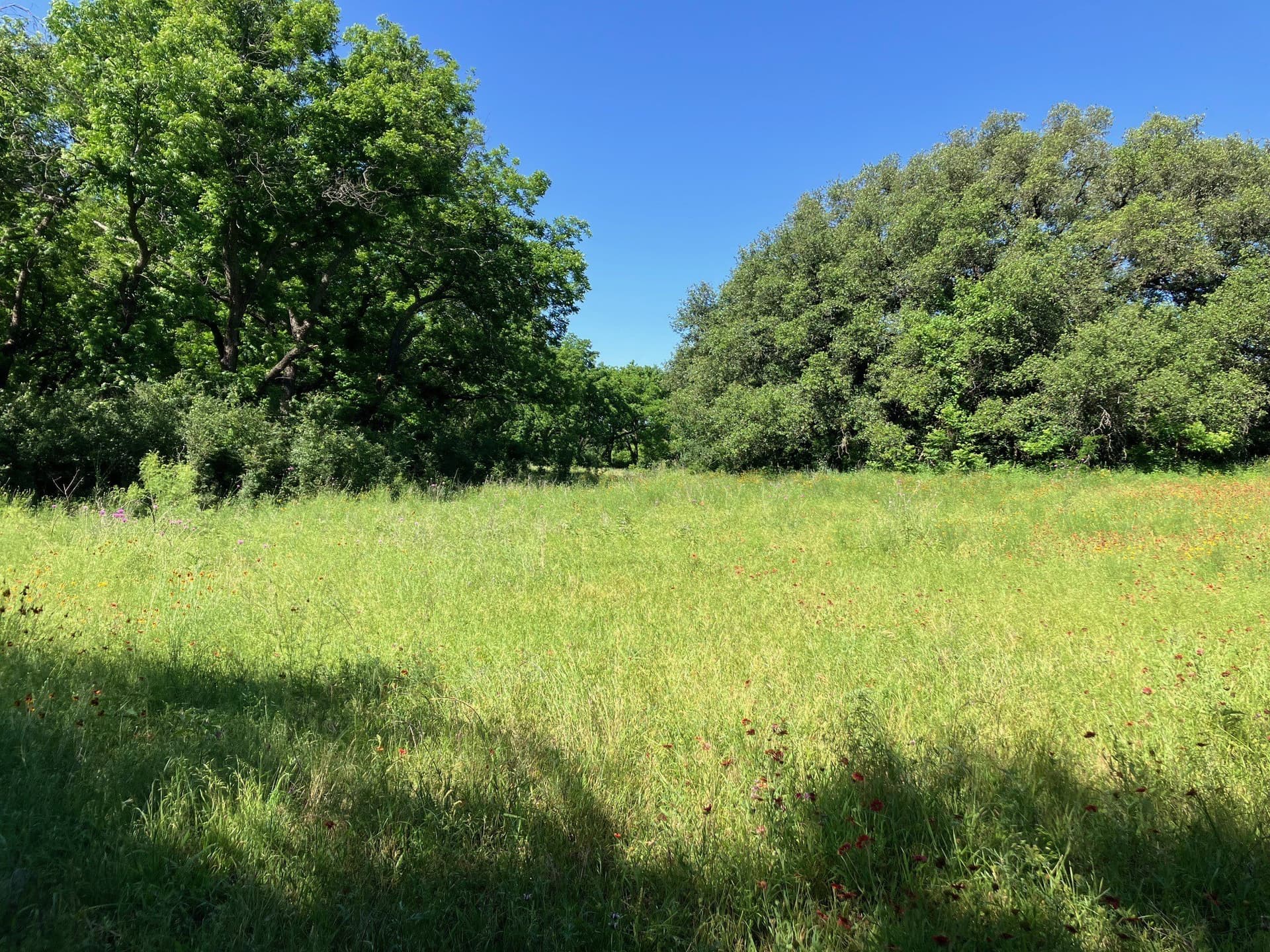 92.2 acres in Comanche County - photo 26