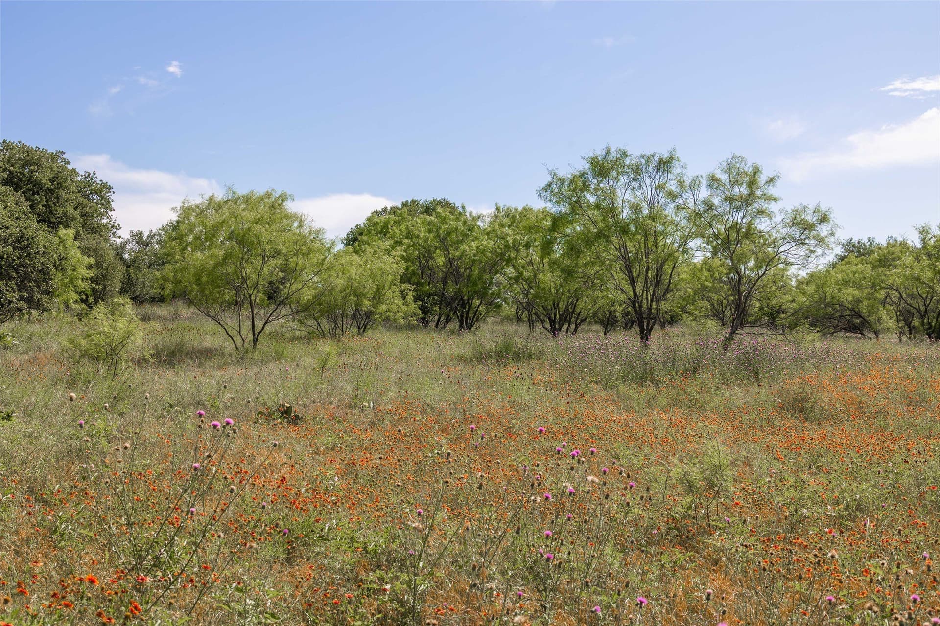 92.2 acres in Comanche County - photo 19
