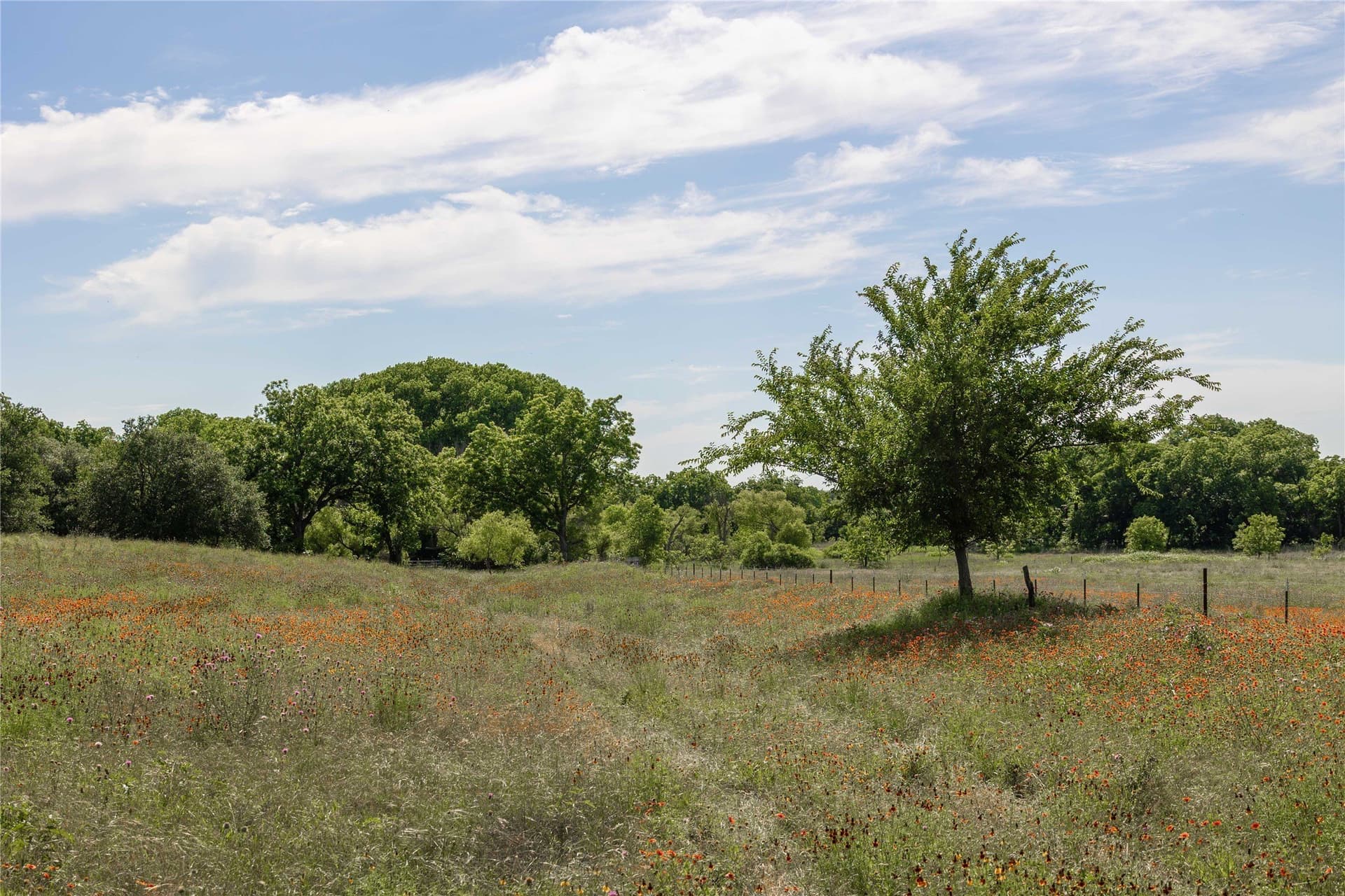 92.2 acres in Comanche County - photo 22