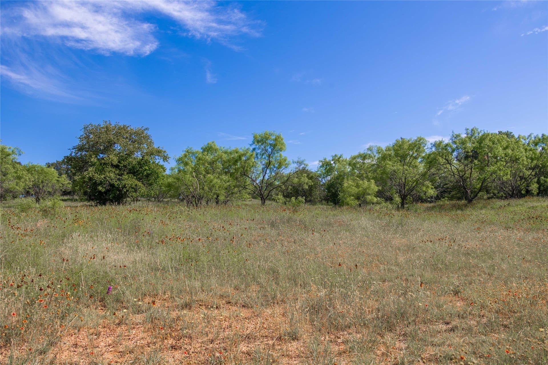 92.2 acres in Comanche County - photo 23