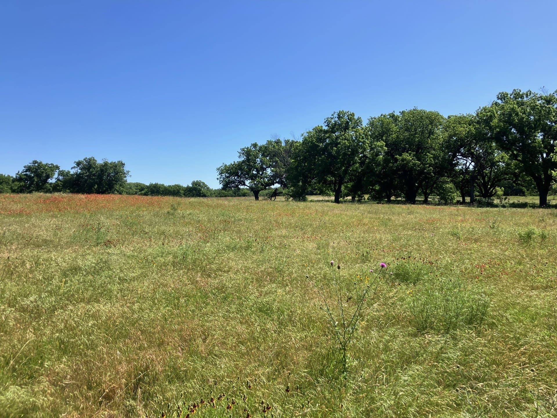 92.2 acres in Comanche County - photo 32