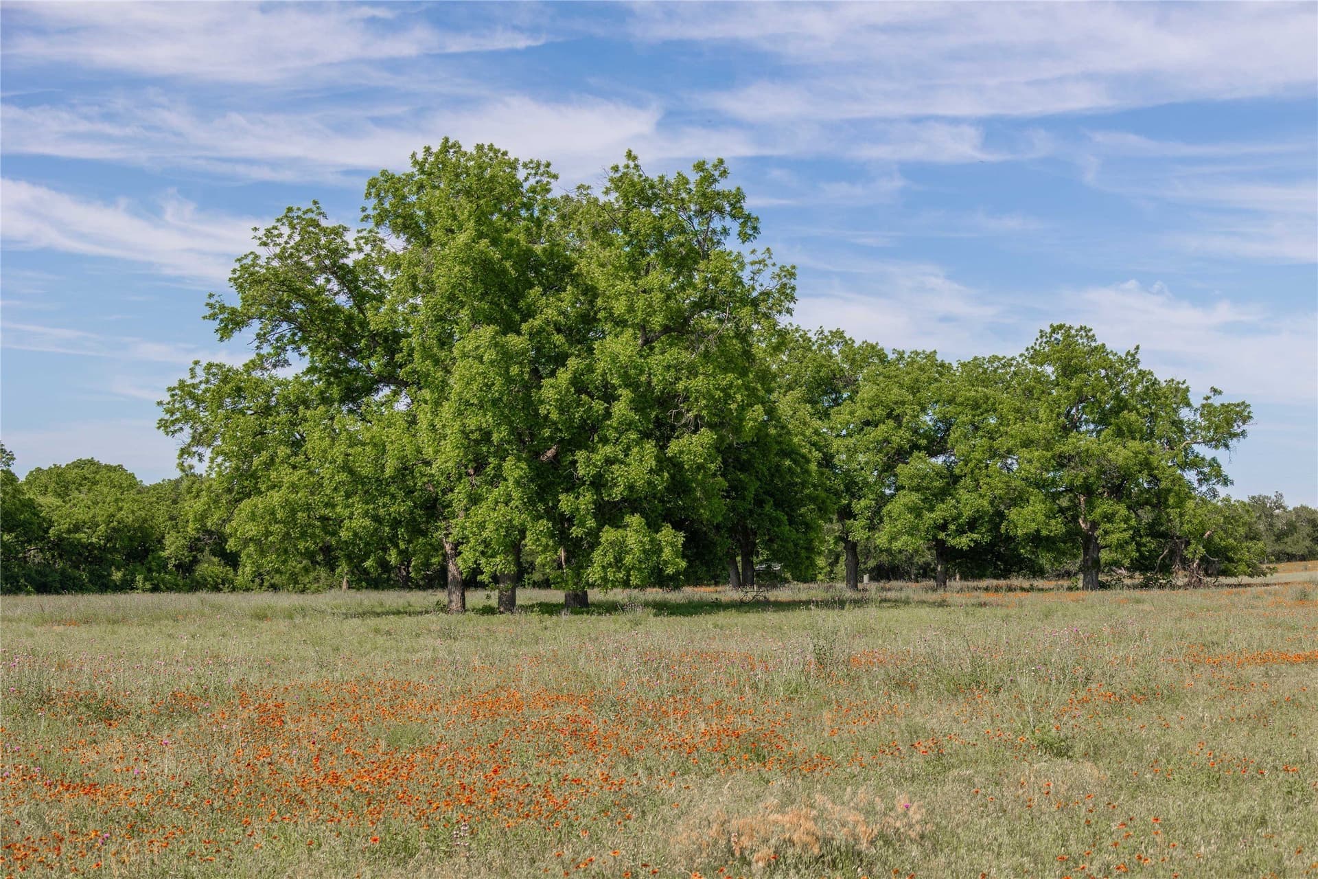 92.2 acres in Comanche County - photo 24