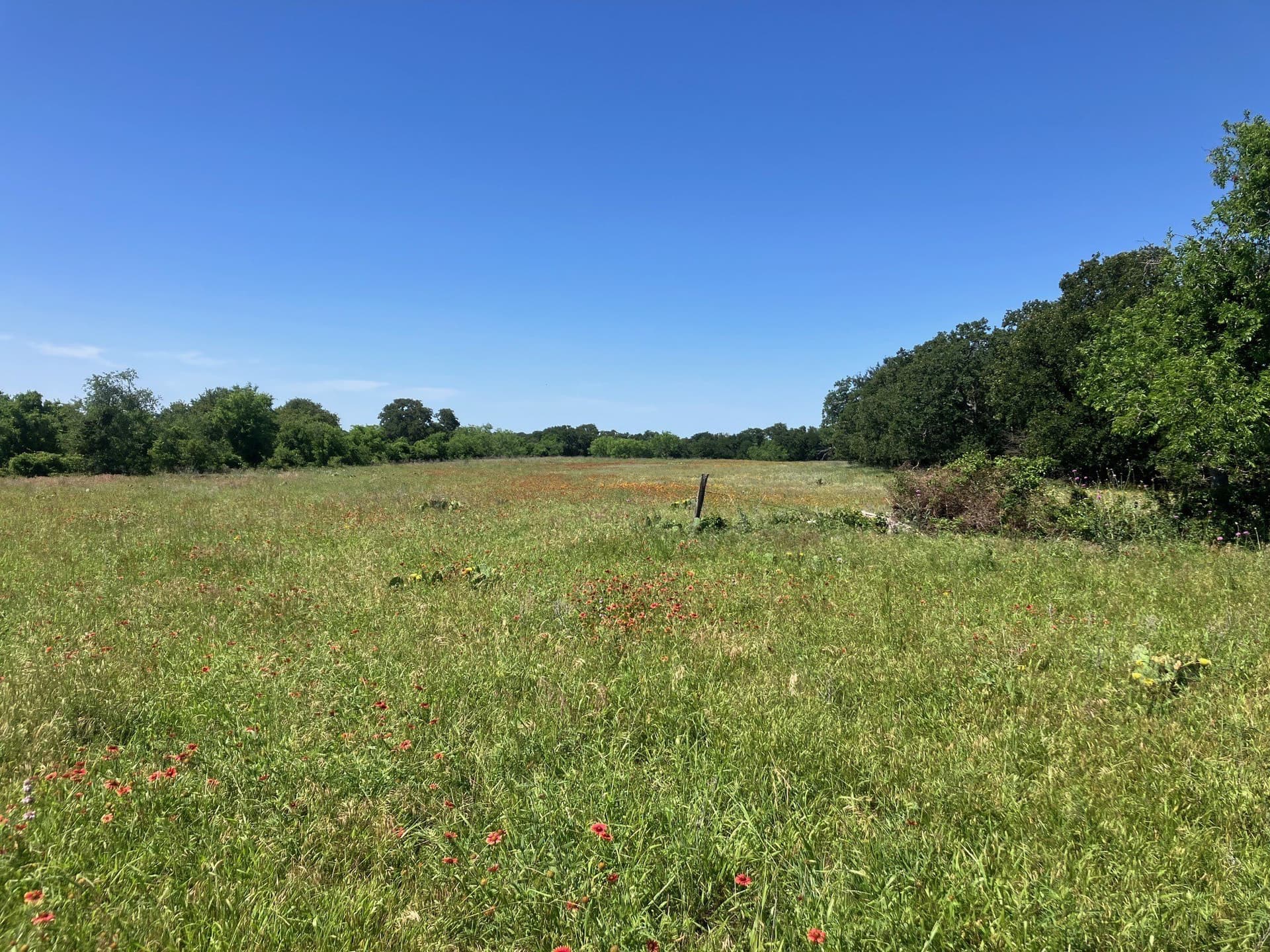 92.2 acres in Comanche County - photo 37